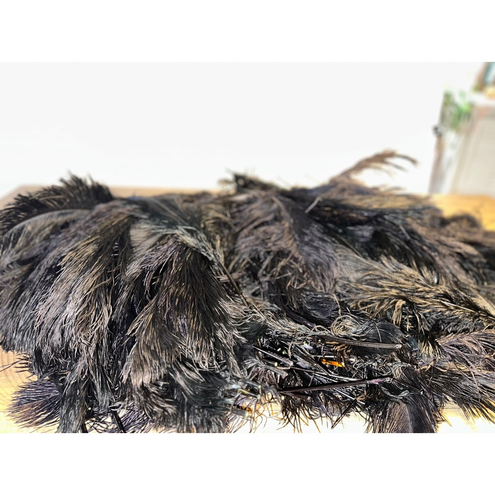 Black Ostrich Feathers with 2 Floral Foam Bouquet Holders DIY Centerpiece Craft